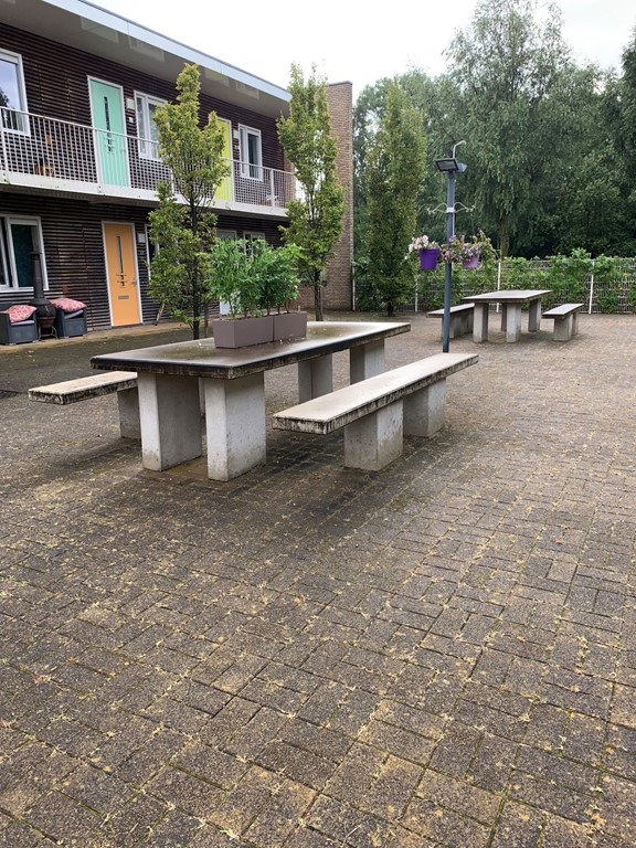 2019-09-04 18.09.04 (Large).jpg